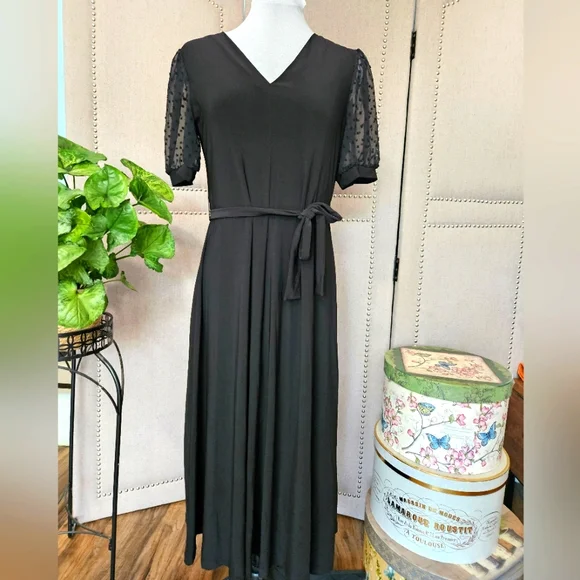 MSK Elegant Black Dress with Sheer Swiss Dot Sleeves
